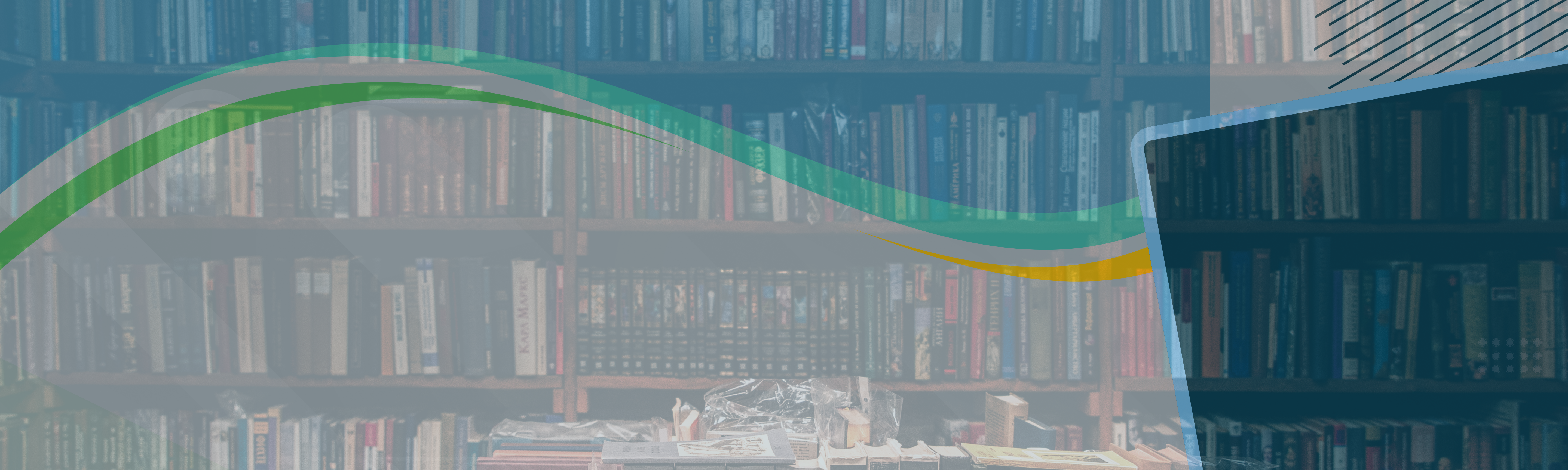 Library Workers Condemn Government Censorship